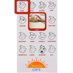 Mood Frame Magnet