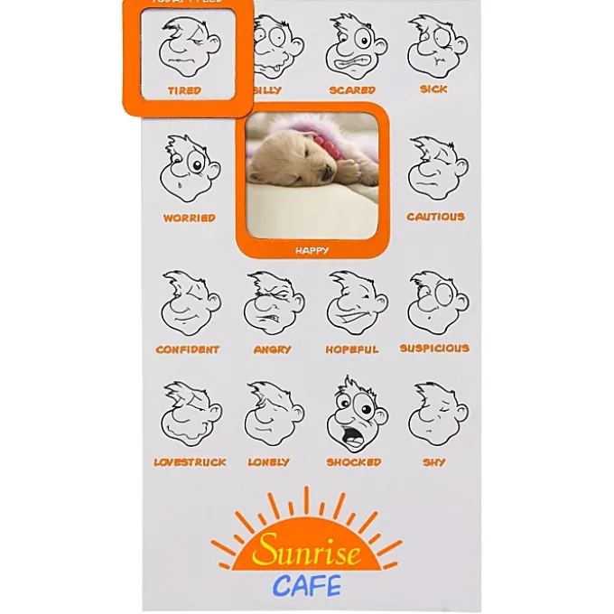 Mood Frame Magnet