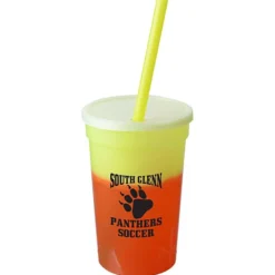 Mood Stadium Cup with Straw - 17 oz