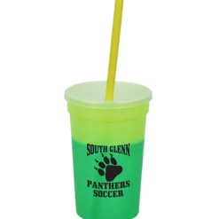 Mood Stadium Cup with Straw - 17 oz