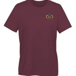 Nike Swoosh Sleeve rLegend T-Shirt - Ladies' - Embroidered