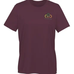Nike Swoosh Sleeve rLegend T-Shirt - Ladies' - Embroidered
