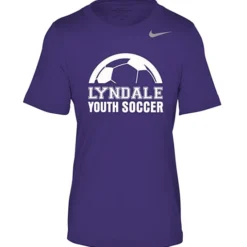 Nike Team rLegend T-Shirt - Youth - Screen