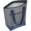 Odyssey Lunch Cooler