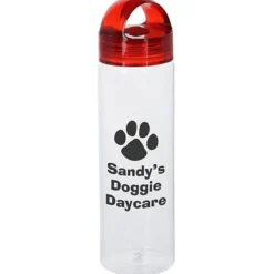 On The Go Bottle with Arch Lid - 22 oz.