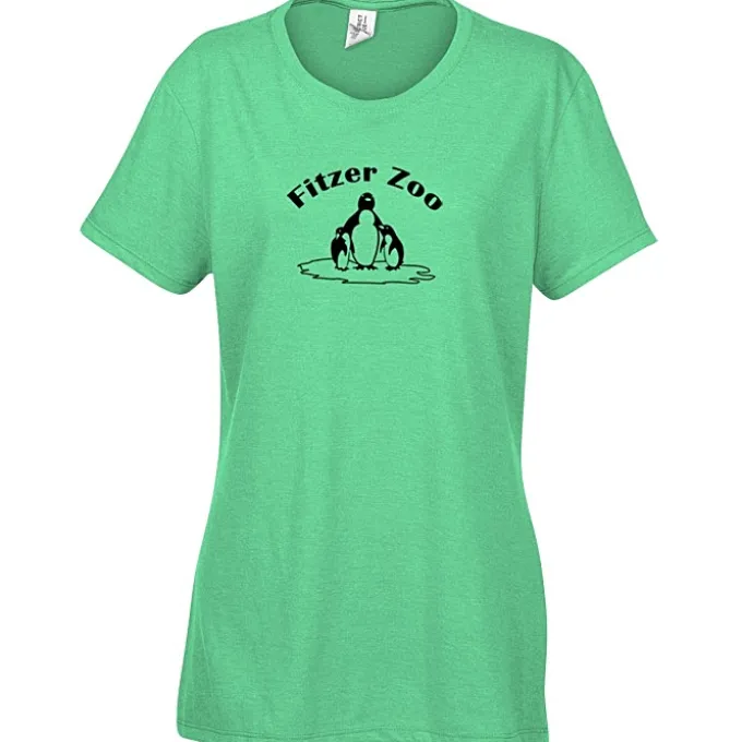 Optimal Tri-Blend T-Shirt - Ladies' - Screen