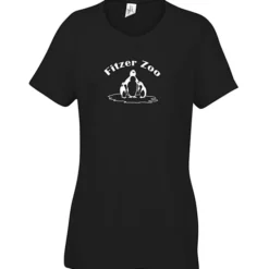 Optimal Tri-Blend T-Shirt - Ladies' - Screen