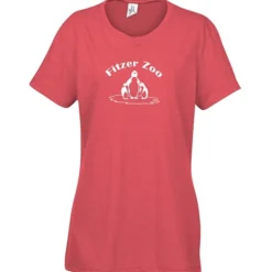 Optimal Tri-Blend T-Shirt - Ladies' - Screen