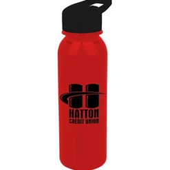 Outdoor Bottle with Flip Straw Lid - 24 oz