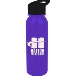 Outdoor Bottle with Flip Straw Lid - 24 oz