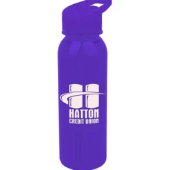 Outdoor Bottle with Flip Straw Lid - 24 oz