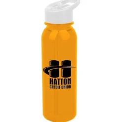 Outdoor Bottle with Flip Straw Lid - 24 oz
