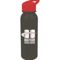 Outdoor Bottle with Flip Straw Lid - 24 oz