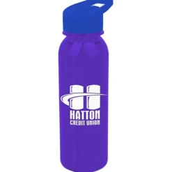 Outdoor Bottle with Flip Straw Lid - 24 oz
