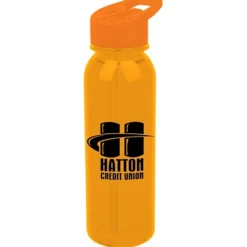 Outdoor Bottle with Flip Straw Lid - 24 oz