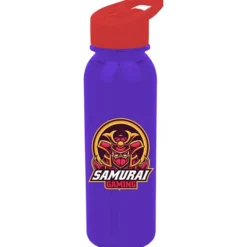 Outdoor Bottle with Flip Straw Lid - 24 oz - Full Color