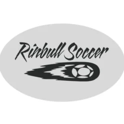 Oval Sticker - 2-1/2 inches x 4 inches