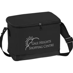 6-Pack Insulated Cooler Bag