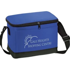 6-Pack Insulated Cooler Bag