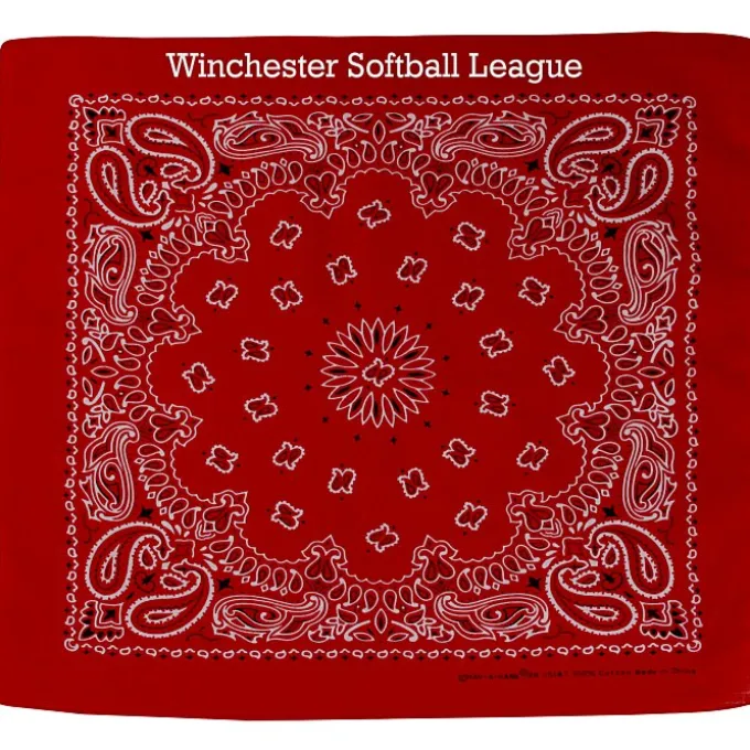 Paisley Bandana
