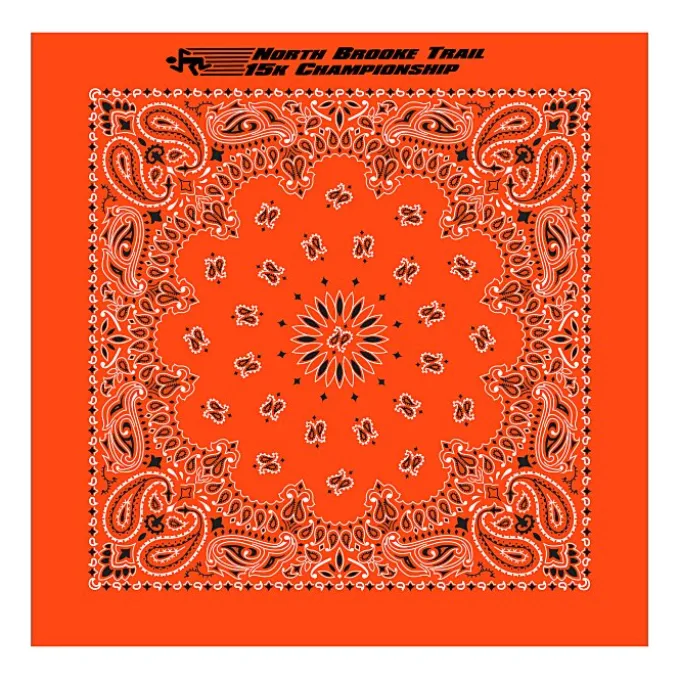 Paisley Bandana - USA Made