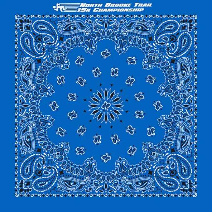 Paisley Bandana - USA Made