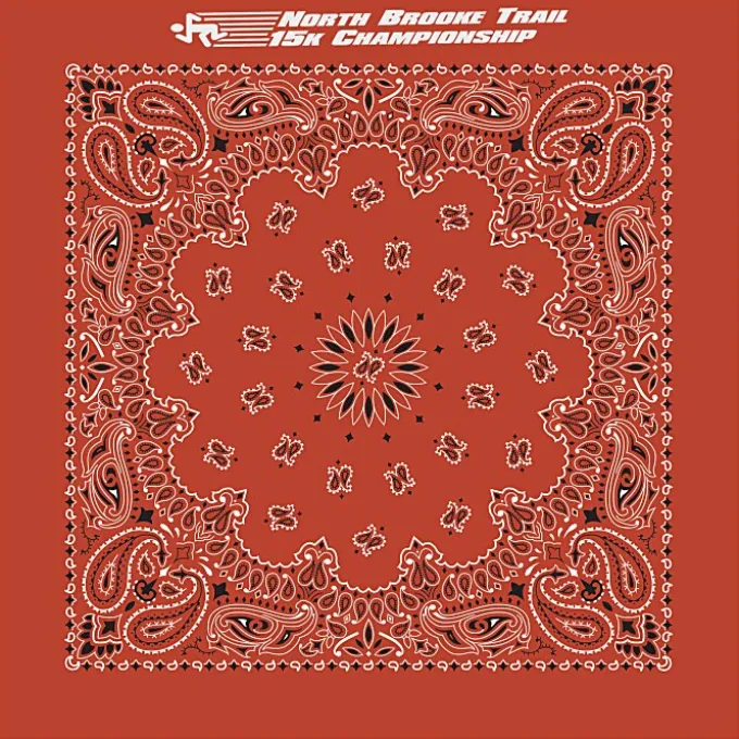 Paisley Bandana - USA Made