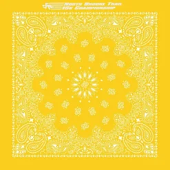 Paisley Bandana - USA Made