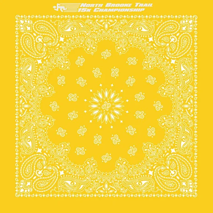 Paisley Bandana - USA Made