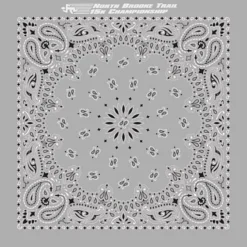 Paisley Bandana - USA Made