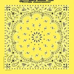 Paisley Bandana - USA Made