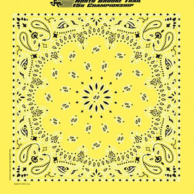 Paisley Bandana - USA Made