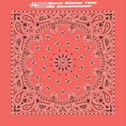 Paisley Bandana - USA Made