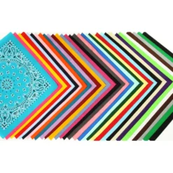 Paisley Bandana - USA Made