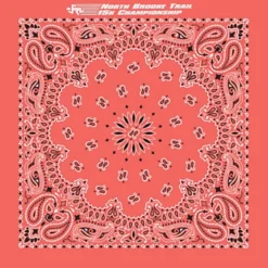 Paisley Bandana - USA Made
