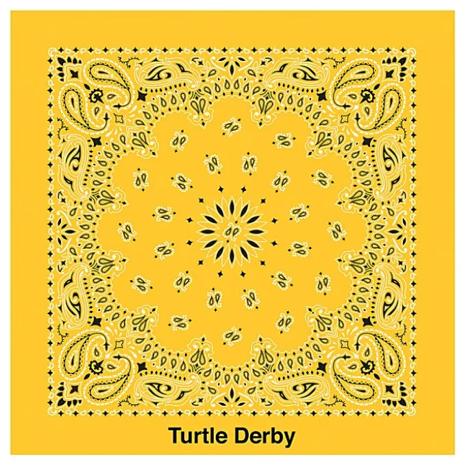 Paisley Bandana - USA Made