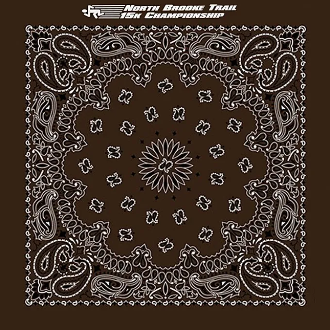 Paisley Bandana - USA Made