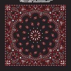 Paisley Bandana - USA Made
