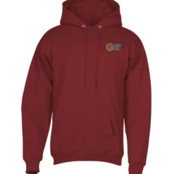 Paramount Pullover Hoodie - Embroidered