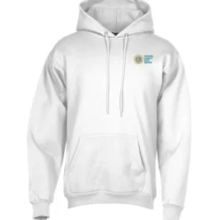 Paramount Pullover Hoodie - Embroidered