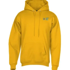 Paramount Pullover Hoodie - Embroidered - 24 hr