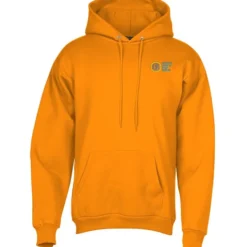 Paramount Pullover Hoodie - Embroidered - 24 hr