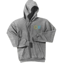 Paramount Pullover Hoodie - Embroidered - 24 hr