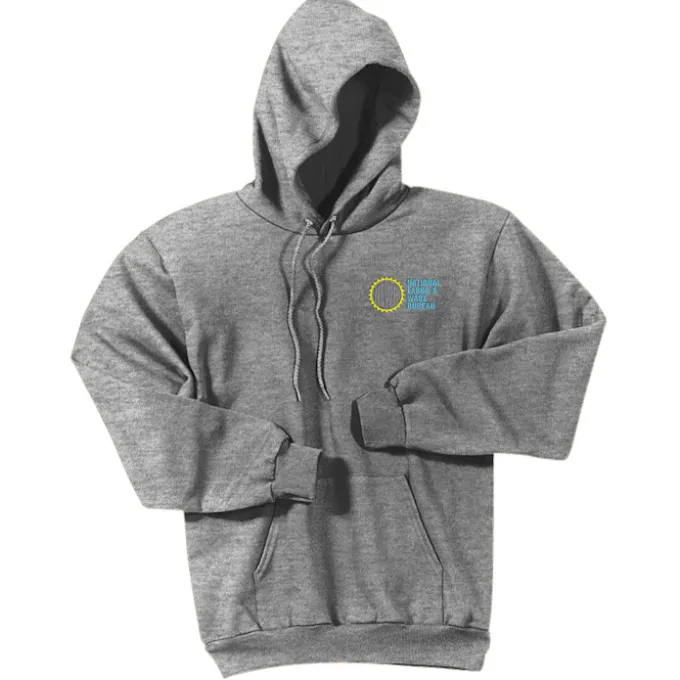 Paramount Pullover Hoodie - Embroidered - 24 hr