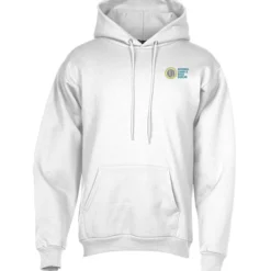 Paramount Pullover Hoodie - Embroidered - 24 hr