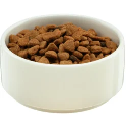 Parker Pet Bowl