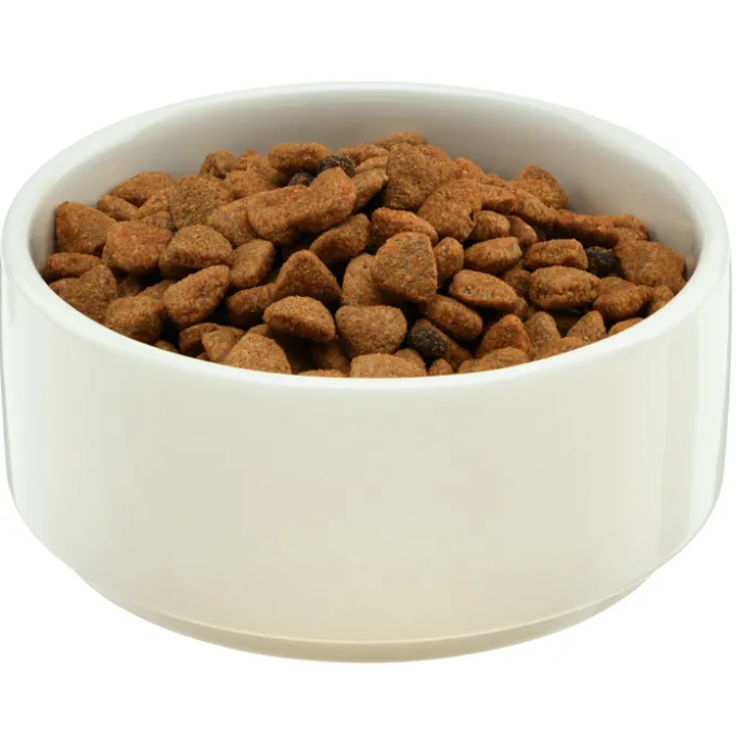 Parker Pet Bowl