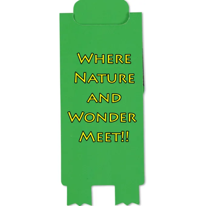 Paws and Claws Magnetic Bookmark - Frog