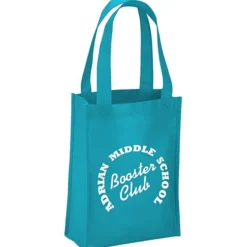 Payson Mini Tote - 12 inches x 9 inches