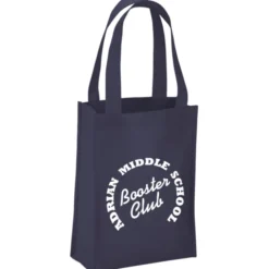 Payson Mini Tote - 12 inches x 9 inches